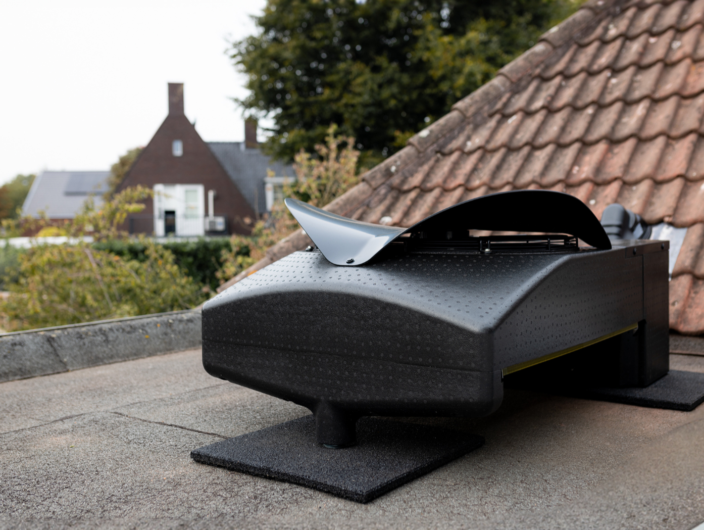 Weheat Blackbird