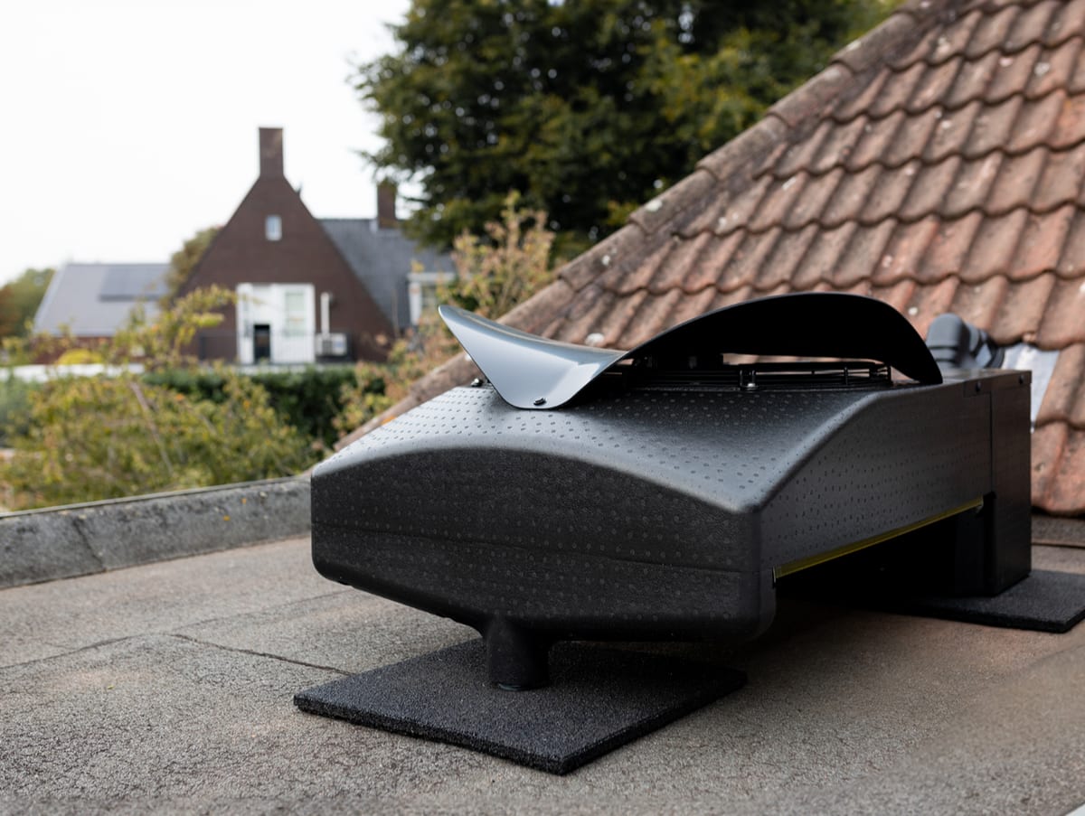 Weheat Blackbird
