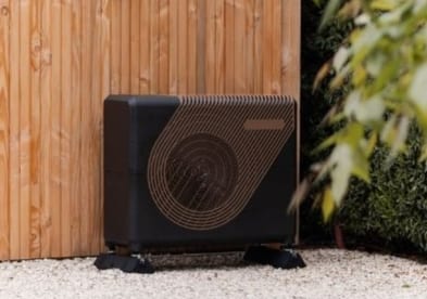 Weheat Sparrow